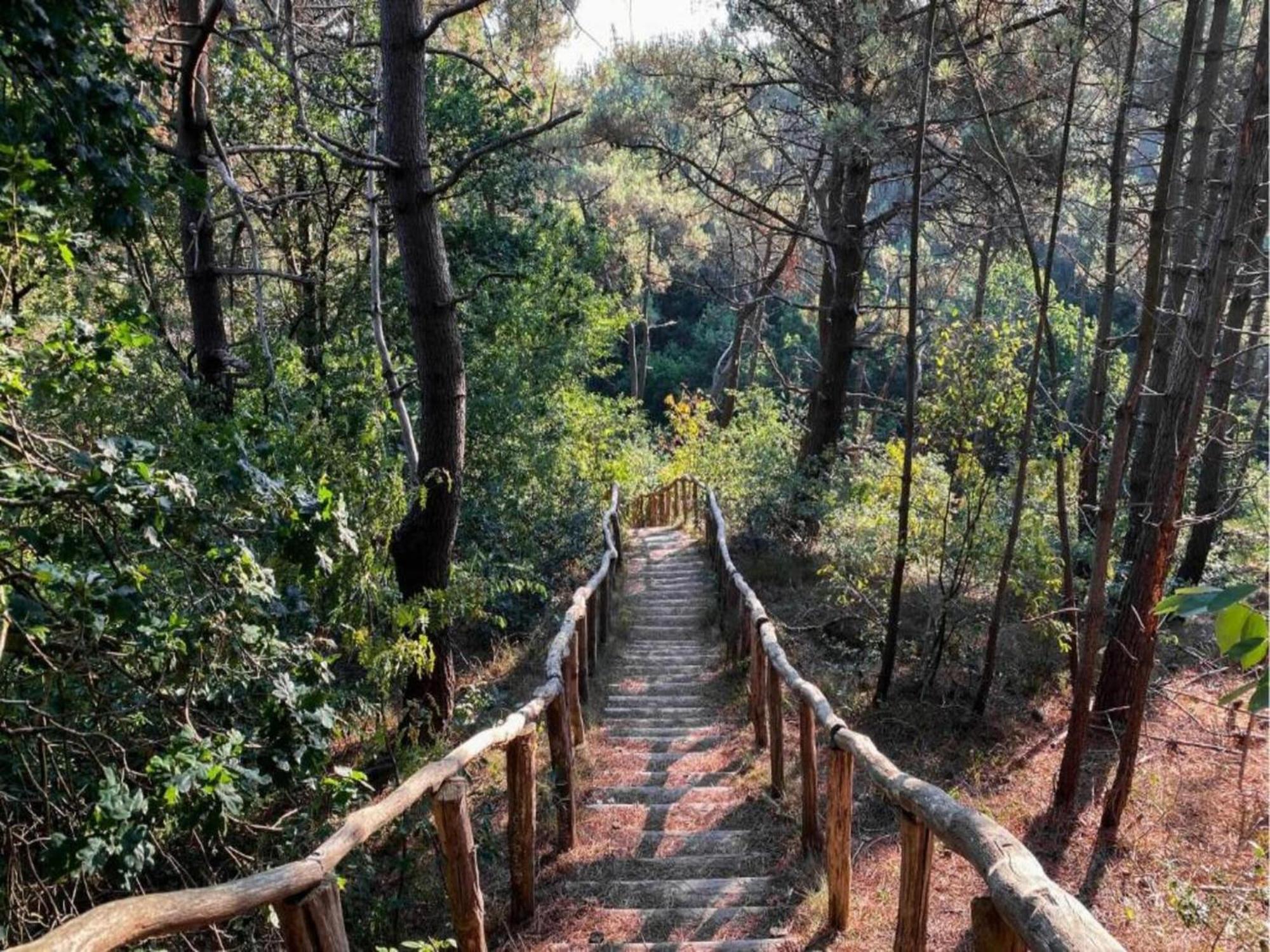 Cozy Holiday Home In Julianadorp With Garden Ngoại thất bức ảnh
